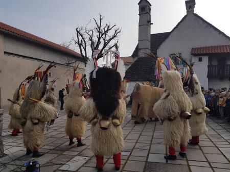 ED JEŽEVKA PTUJ - PUST 2023 (32)